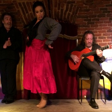 Flamenco, Salsa, and El Retiro in Madrid